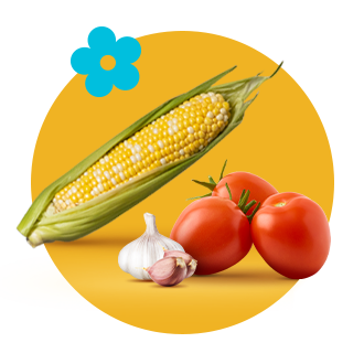 Shop Fresh Produce