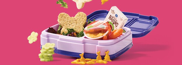 kids bento box lunch