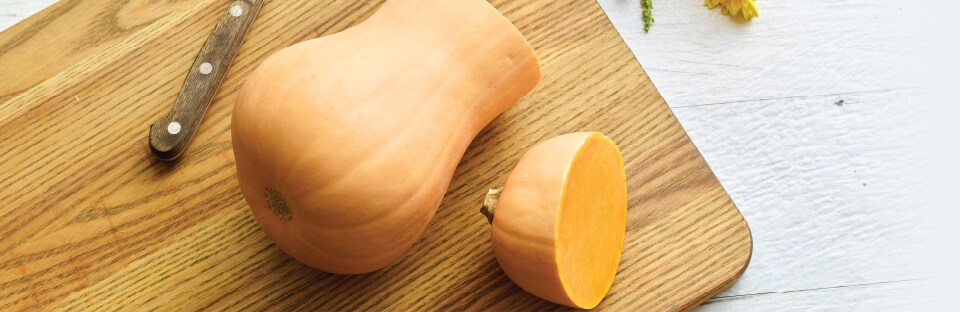 Butternut Image 1