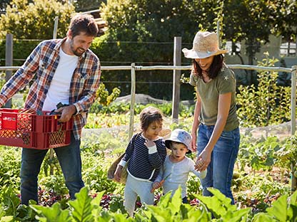 Growing Food from Your Garden