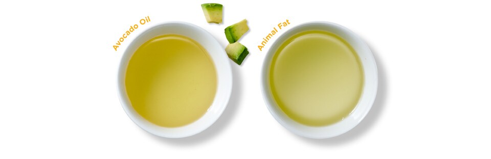 bowl of avocado oil and bowl of animal fat oil