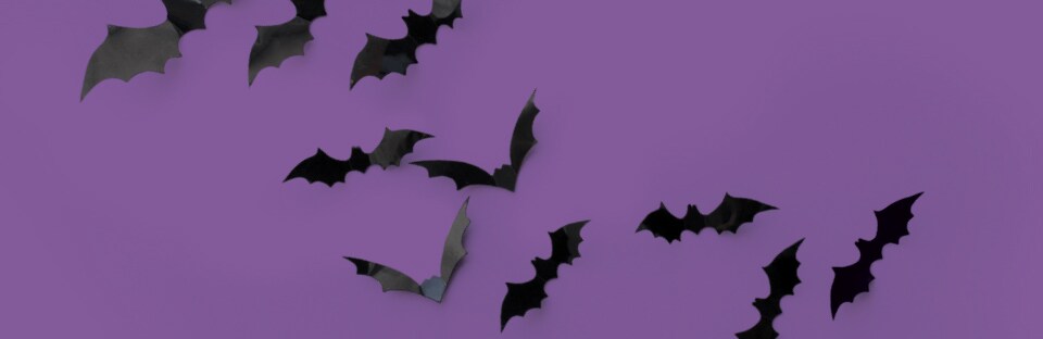 diy bat wall