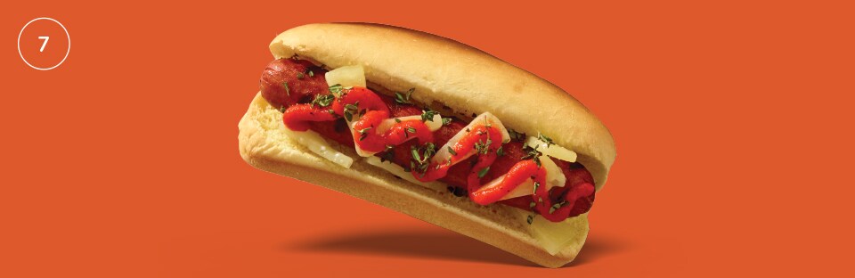 The Manchego Dog