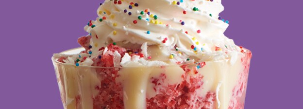 frozen berry dessert