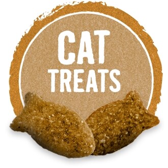 Cat Treats