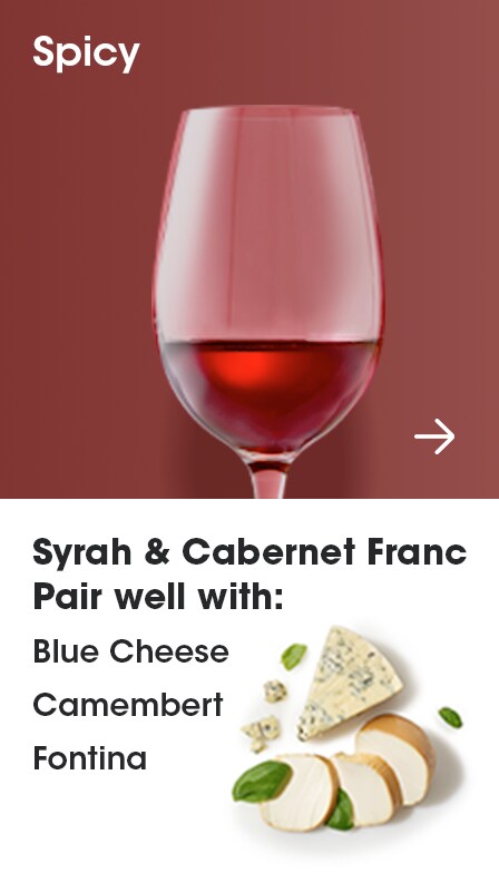 Spicy Red Wine Pairings