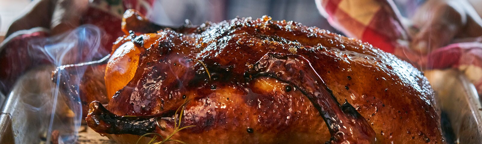 Turkey roasting in pan