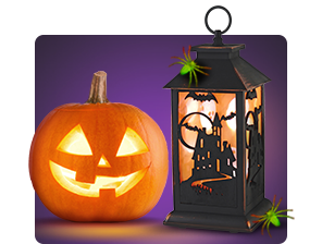 Pumpkins and decor. Deck out your space for the season.