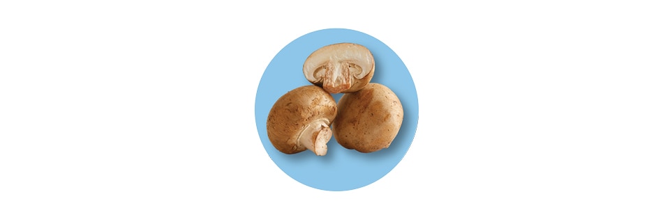 Mushrooms
