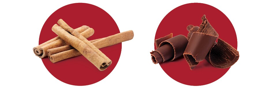 cinnamon sticks and chocolate shavings