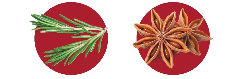 rosemary sprigs and star anise